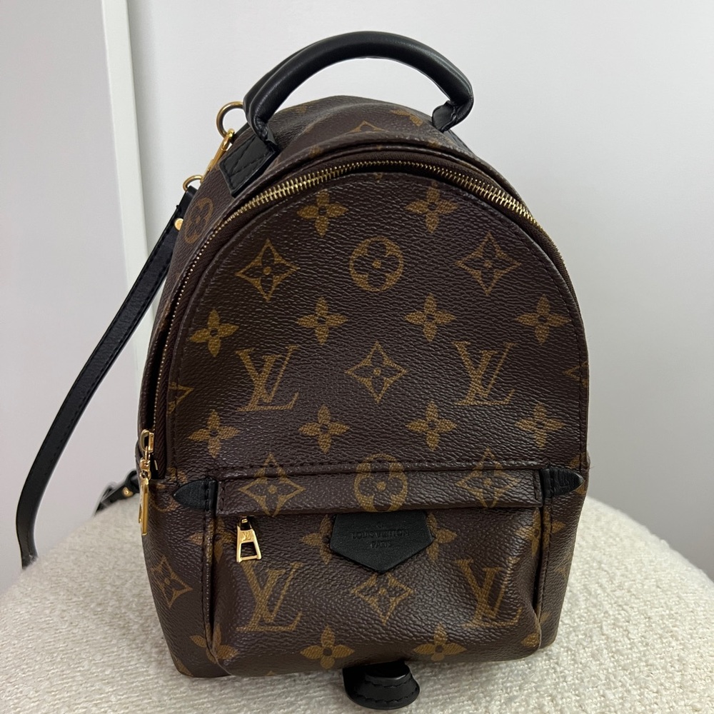 Louis Vuitton Palm Springs Mini